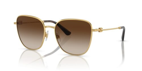 DOLCE & GABBANA DG2293 02/13 - gafas de sol