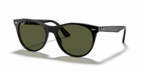 RAY-BAN WAYFARER II RB2185 901/58 Polarizadas - gafas de sol