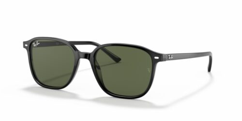 RAY-BAN LEONARD RB2193 901/31 - gafas de sol