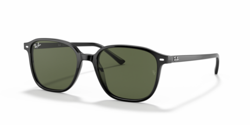 RAY-BAN LEONARD RB2193 901/31 - gafas de sol