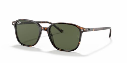 RAY-BAN LEONARD RB2193 902/31 - gafas de sol