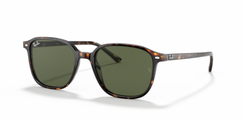 RAY-BAN LEONARD RB2193 902/31 - gafas de sol