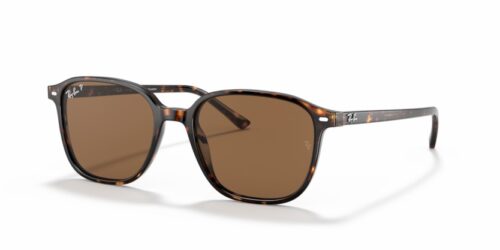 RAY-BAN LEONARD RB2193 902/57 Polarizadas - gafas de sol