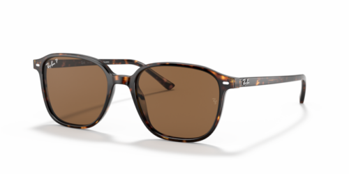 RAY-BAN LEONARD RB2193 902/57 Polarizadas - gafas de sol