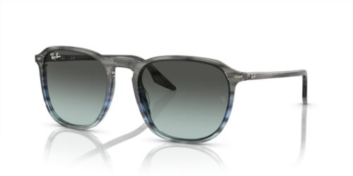 RAY-BAN RB2203 1391GK - gafas de sol