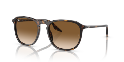 RAY-BAN RB2203 902/51 - gafas de sol