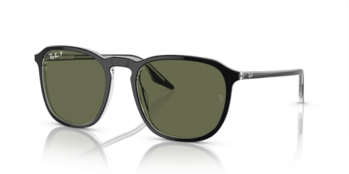 RAY-BAN RB2203 919/58 Polarizadas - gafas de sol