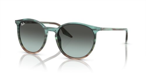 RAY-BAN RB2204 1394GK - gafas de sol