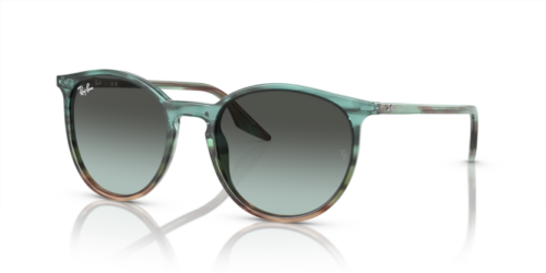 RAY-BAN RB2204 1394GK - gafas de sol