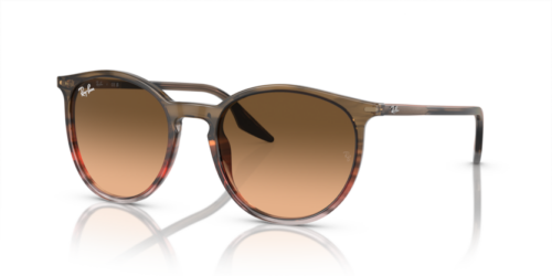 RAY-BAN RB2204 13953B - gafas de sol