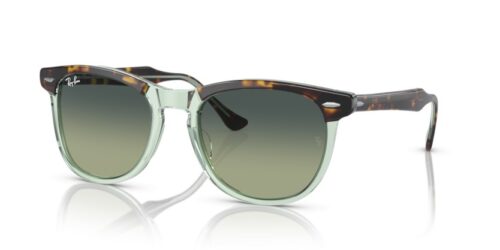 RAY-BAN EAGLEEYE RB2398 1376BH - gafas de sol