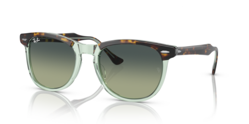 RAY-BAN EAGLEEYE RB2398 1376BH - gafas de sol