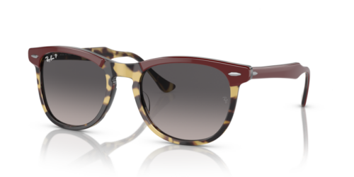 RAY-BAN EAGLEEYE RB2398 1377M3 Polarizadas - gafas de sol