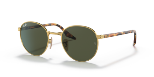 RAY-BAN RB3691 001/31 - gafas de sol