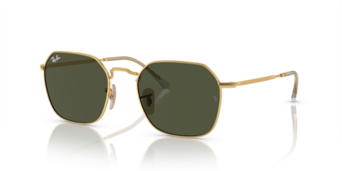 RAY-BAN JIM RB3694 001/31 - gafas de sol