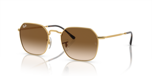 RAY-BAN JIM RB3694 001/51 - gafas de sol