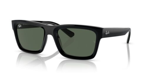 RAY-BAN WARREN RB4396 667771 - gafas de sol