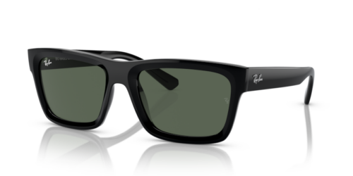 RAY-BAN WARREN RB4396 667771 - gafas de sol