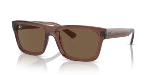 RAY-BAN WARREN RB4396 667873 - gafas de sol