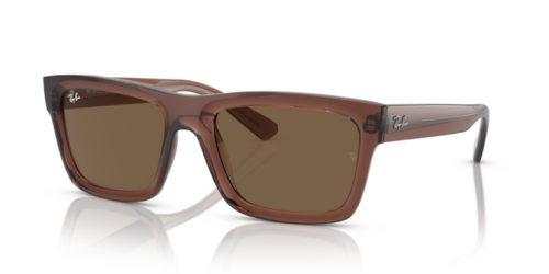 RAY-BAN WARREN RB4396 667873 - gafas de sol