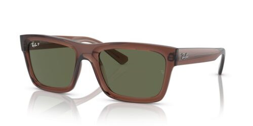 RAY-BAN WARREN RB4396 66789A Polarizadas - gafas de sol