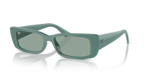 RAY-BAN TERU RB4425 676282 - gafas de sol