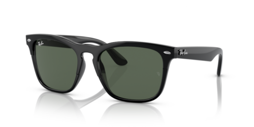 RAY-BAN STEVE RB4487 662971 - gafas de sol