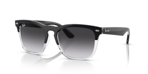 RAY-BAN STEVE RB4487 66308G - gafas de sol