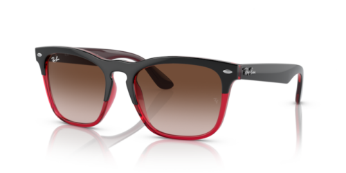 RAY-BAN STEVE RB4487 663113 - gafas de sol