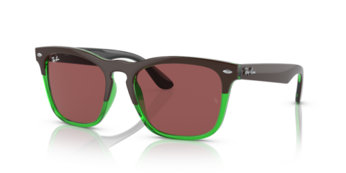 RAY-BAN STEVE RB4487 663469 - gafas de sol