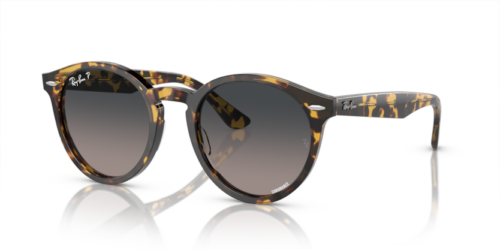 RAY-BAN LARRY RB7680S 1332GL Polarizadas - gafas de sol