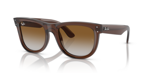 RAY-BAN WAYFARER REVERSE RBR0502S 6709CB - gafas de sol