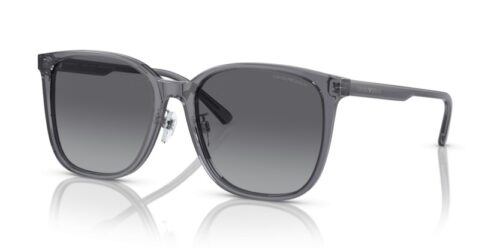 EMPORIO ARMANI EA4206D 5029T3 Polarizadas - gafas de sol