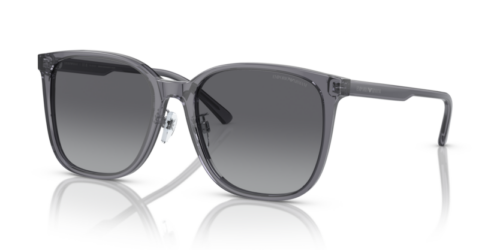 EMPORIO ARMANI EA4206D 5029T3 Polarizadas - gafas de sol