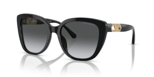 EMPORIO ARMANI EA4214U 50178G Polarizadas - gafas de sol