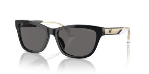 EMPORIO ARMANI EA4227U 501787 Polarizadas - gafas de sol