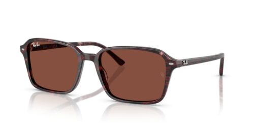 RAY-BAN RAIMOND RB2231 1416C5 - gafas de sol