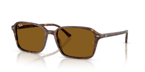 RAY-BAN RAIMOND RB2231 141833 - gafas de sol