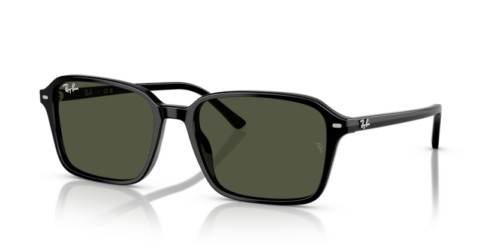 RAY-BAN RAIMOND RB2231 901/31 - gafas de sol