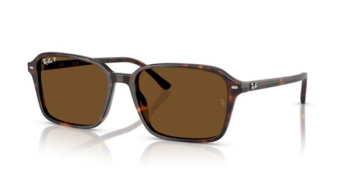 RAY-BAN RAIMOND RB2231 902/57 Polarizadas - gafas de sol