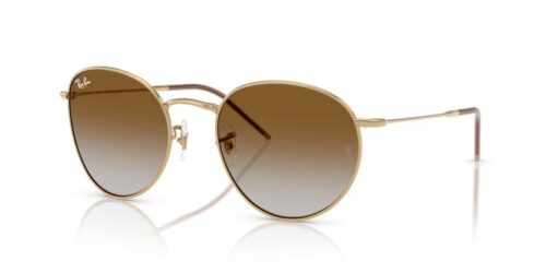 RAY-BAN ROUND REVERSE RBR0103S 001/CB - gafas de sol