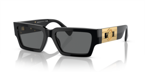 VERSACE VE4459 GB1/87 - gafas de sol